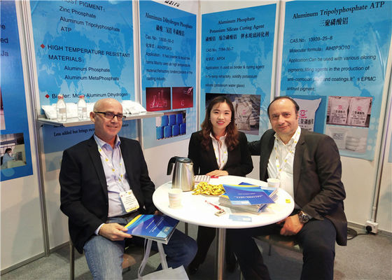 High Purity Zinc Phosphate White Powder for Anti-corrosion Coating Material